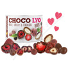 Mixit Choco Lyo Ovoce a oechy v okold 180g